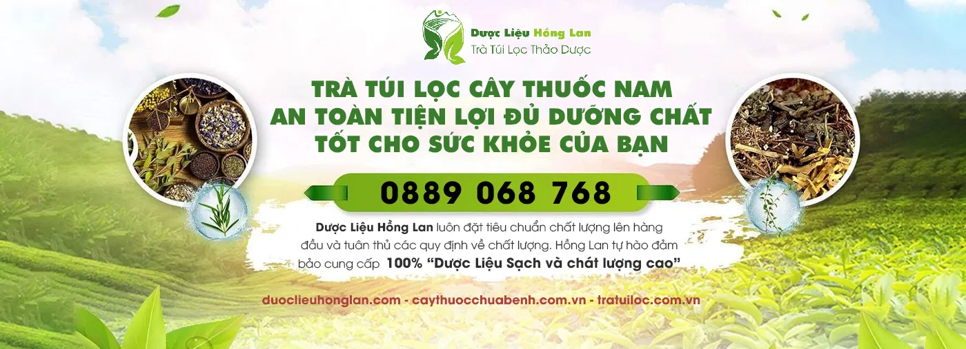 Hình ảnh 1