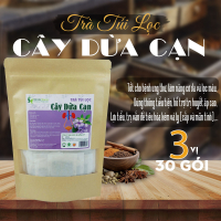 Trà Túi Lọc Cây Dừa Cạn 90g (30 túi lọc x 3g) Hồng Lan 4