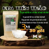 Trà Túi Lọc HTĐT Sỏi Thận Kim Tiền Thảo 90g (30 gói x 3g) - Dược Liệu Hồng Lan 4