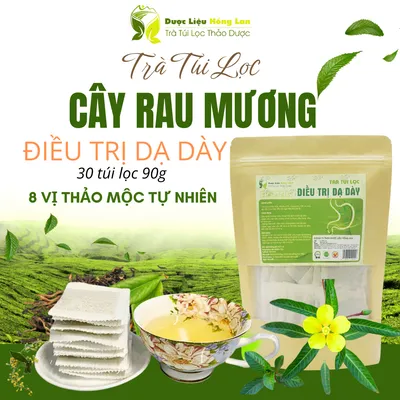 Trà Cây Rau Mương mix 8 vị 90g Giảm Trào Ngược, Đau Dạ Dày,Tức Thượng vị, Đầy Bụng, Đầy hơi, Ợ Hơi - Dược Liệu Hồng Lan