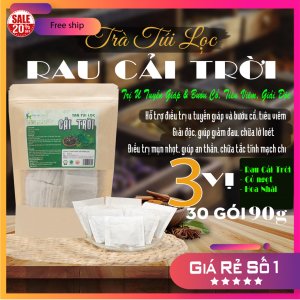 Trà Túi Lọc Cây Rau Cải Trời 90g (30 gói x 3g) | Dược Liệu Hồng Lan trị u tuyến giáp, trị bướu cổ