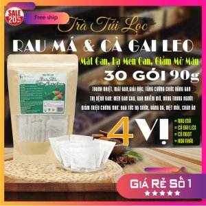 Trà Túi Lọc Cây Rau Má & Cà Gai Leo 90g (30 gói x 3g) Dược Liệu Hồng Lan
