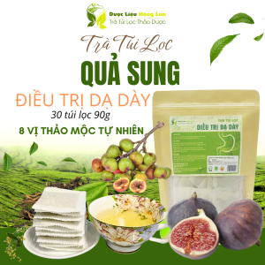 Trà Quả Sung mix 8 vị 90g Giảm Trào Ngược, Đau Dạ Dày,Tức Thượng vị, Đầy Bụng, Đầy hơi, Ợ Hơi - Dược Liệu Hồng Lan