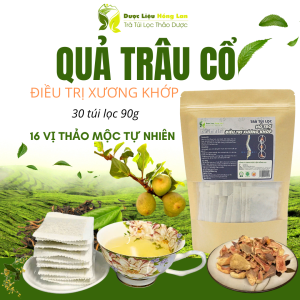 Trà Quả Trâu Cổ mix 16 vị hỗ trợ điều trị Xương Khớp 90g (30 túi lọc x 3g) - Trà Túi Lọc Hồng Lan 