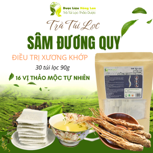 Trà Sâm Đương Quy mix 16 vị hỗ trợ điều trị Xương Khớp 90g (30 túi lọc x 3g) - Trà Túi Lọc Hồng Lan 