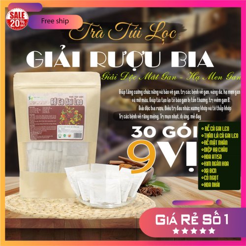 Trà Túi Lọc Rễ Cà Gai Leo 9 vị gói 90g [Giải độc bia rượu, tăng cường chức năng và bảo vệ gan, trị các bệnh về gan, vàng da, hạ men gan và mỡ máu, Giúp tái tạo lại tế bào gan bị tổn thương, kìm hãm sự phát triển viêm gan B.]
