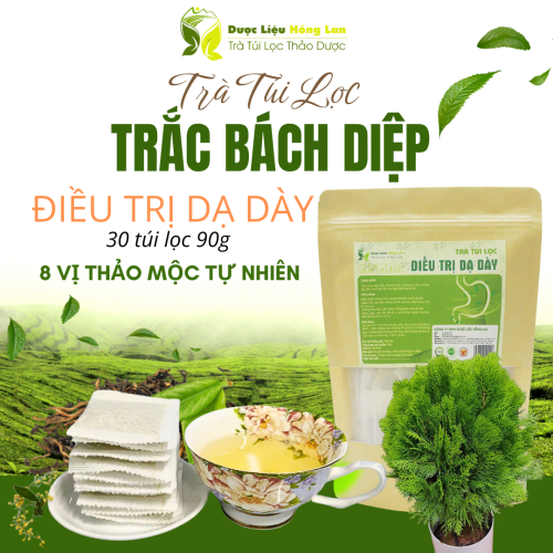 Trà Trắc Bách Diệp mix 8 vị 90g Giảm Trào Ngược, Đau Dạ Dày,Tức Thượng vị, Đầy Bụng, Đầy hơi, Ợ Hơi - Dược Liệu Hồng Lan 