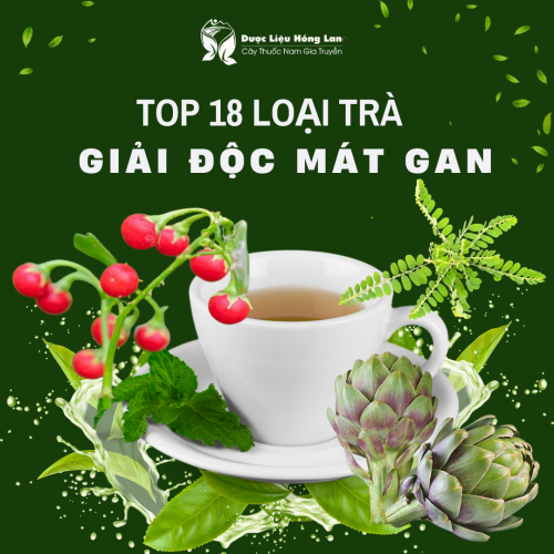 Top 18 Loại Trà Mát Gan Được Ưa Chuộng Nhất – Thanh Lọc Cơ Thể, Giải Độc Gan Hiệu Quả