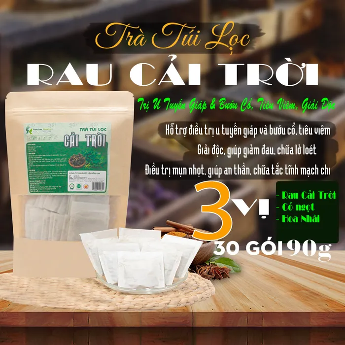 Trà Túi Lọc Cây Rau Cải Trời 90g (30 gói x 3g) | Dược Liệu Hồng Lan trị u tuyến giáp, trị bướu cổ 3