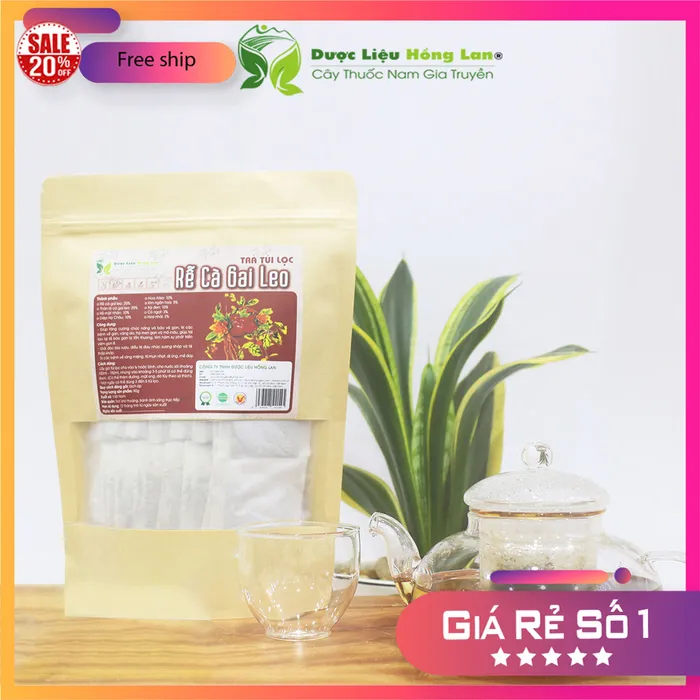 Trà Túi Lọc Rễ Cà Gai Leo 9 vị gói 90g [Giải độc bia rượu, tăng cường chức năng và bảo vệ gan, trị các bệnh về gan, vàng da, hạ men gan và mỡ máu, Giúp tái tạo lại tế bào gan bị tổn thương, kìm hãm sự phát triển viêm gan B] 3