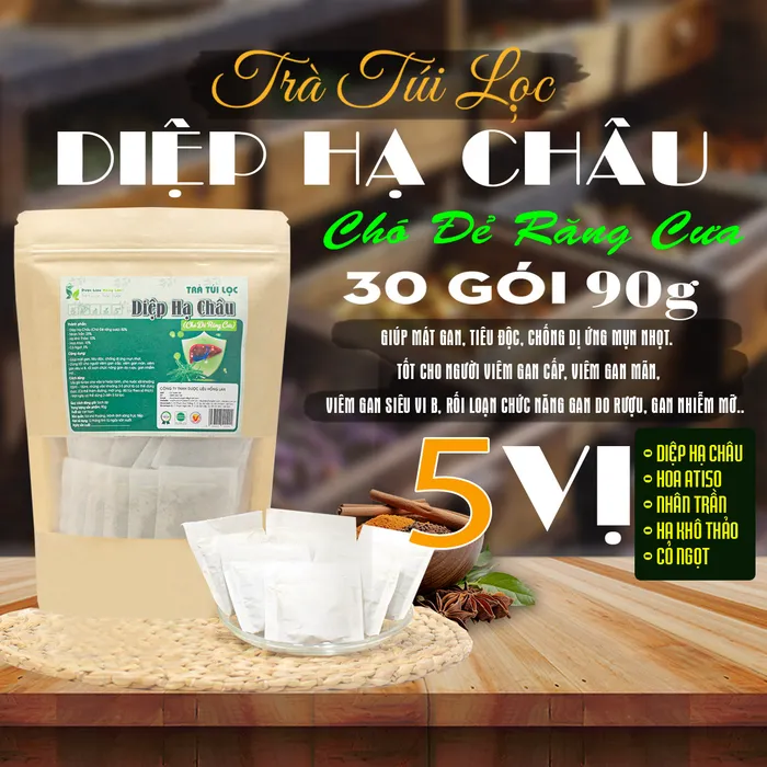 Trà Túi Lọc Diệp Hạ Châu ( Cây Chó Đẻ) 90g (30 gói x 3g) | Dược Liệu Hồng Lan 3
