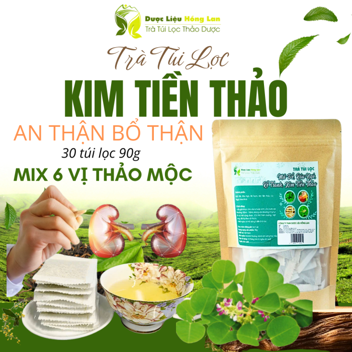 Trà Kim Tiến Thảo mix 6 vị giúp Bổ Thận - Lọc Thận - Tốt cho Thận túi zip 90g (30 túi lọc x 3g) - Dược Liệu Hồng Lan