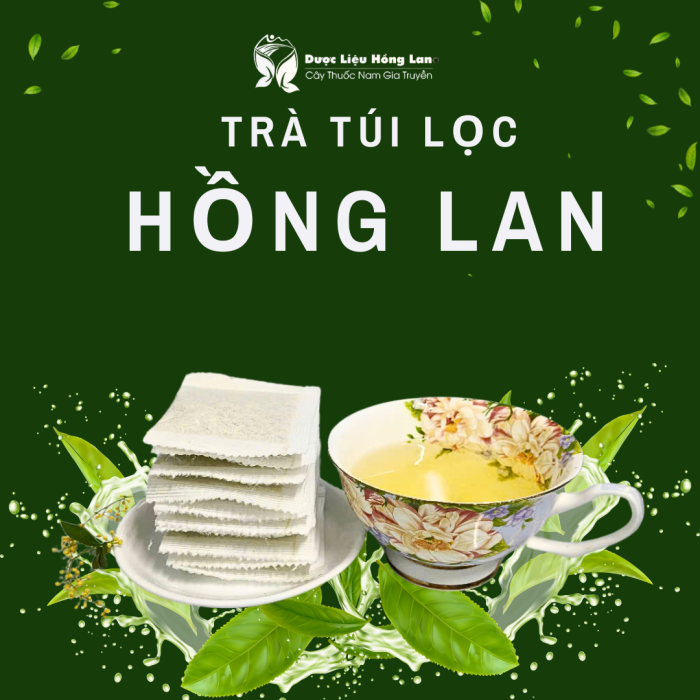 100 loại trà túi lọc thảo mộc tốt cho sức khỏe tại Dược Liệu Hồng Lan
