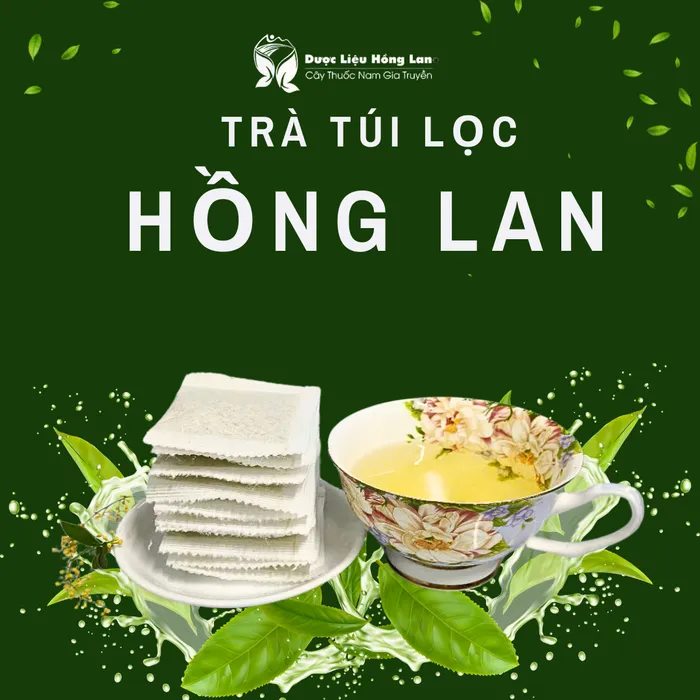 100 loại trà túi lọc thảo mộc tốt cho sức khỏe tại Dược Liệu Hồng Lan